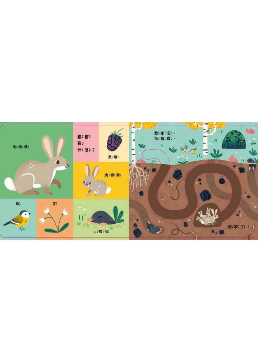 手眼協調繪本 帶寶寶回家