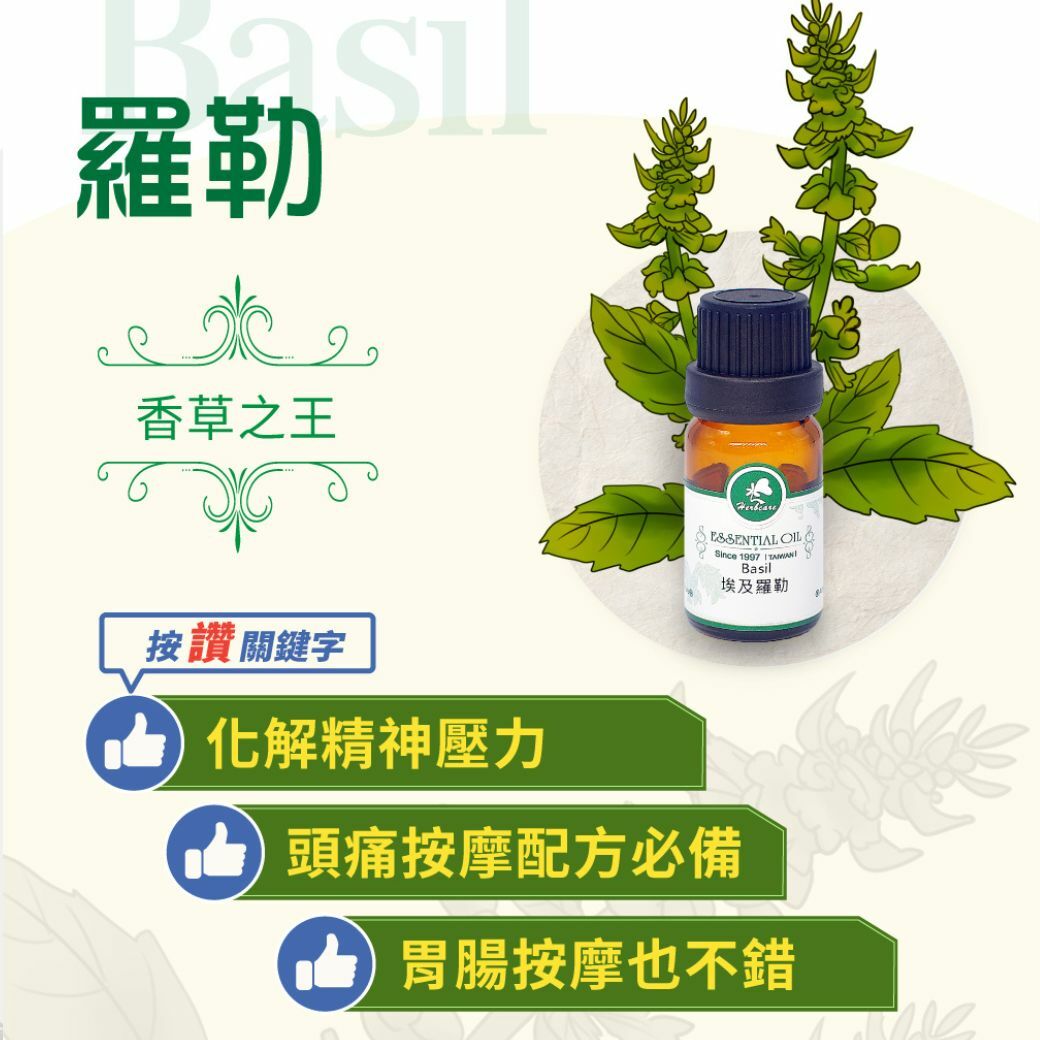 埃及有機羅勒純精油