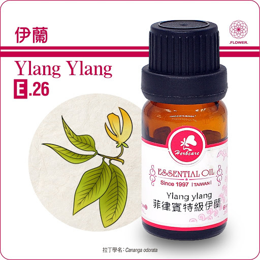 菲律賓特級依蘭純精油