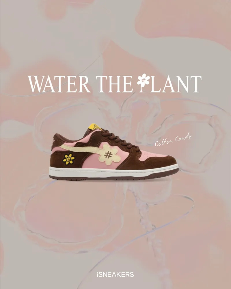 Water The Plant Cotton Candy
