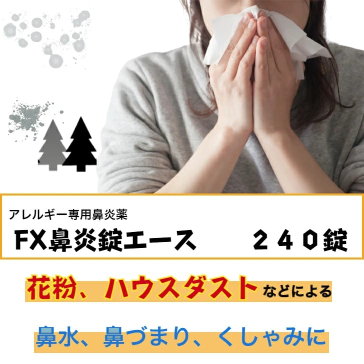 日本 FX 鼻炎錠 Ace 240錠 過敏性鼻炎日常調整使用