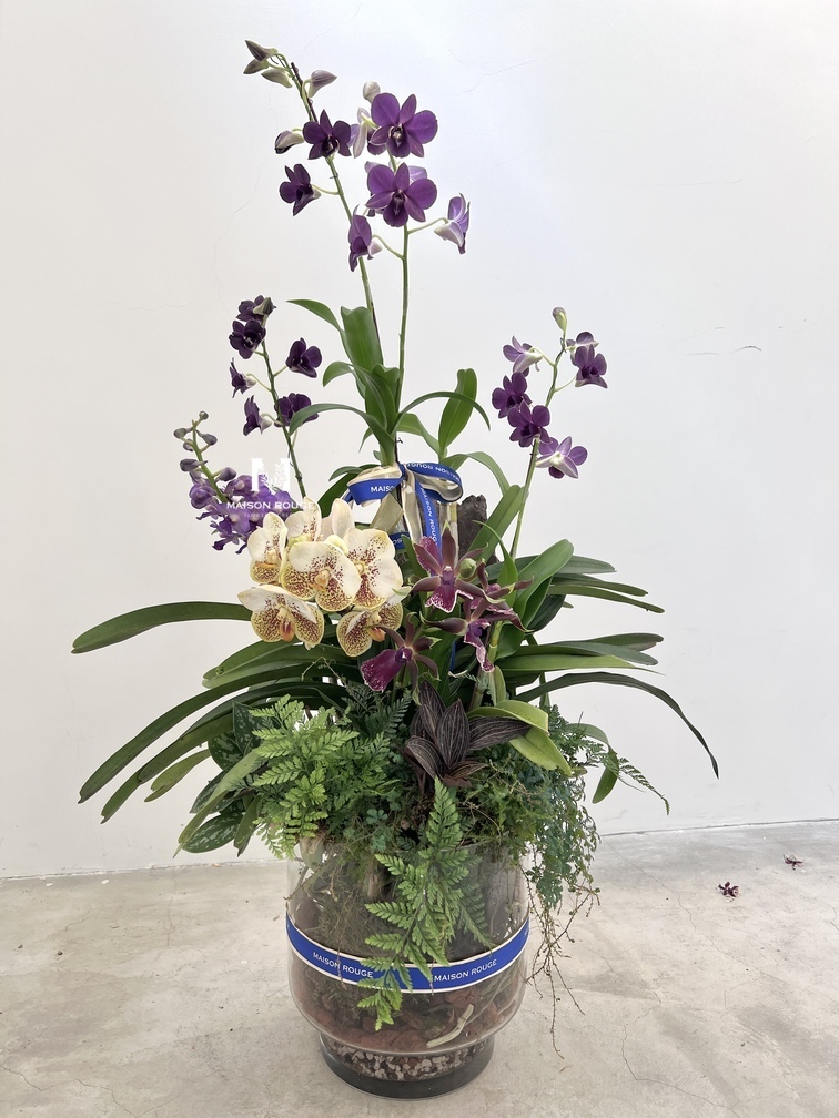 貳樓有花・蘭花綠植花禮