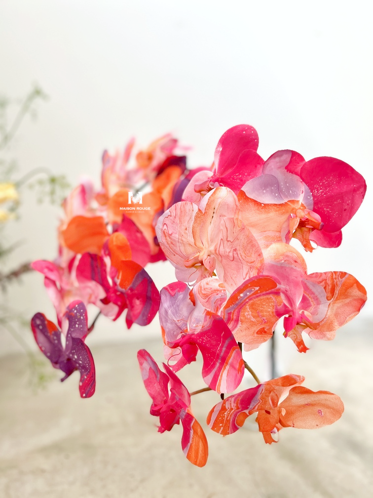 貳樓有花・特殊款蘭花・下單區