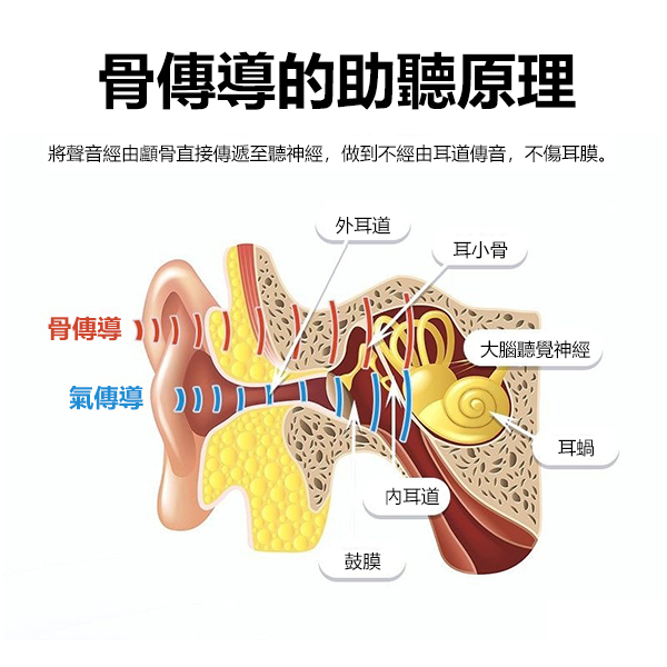 TSK JAPAN high-end smart noise-cancelling bone conduction hearing aid, in-ear hearing aid for the elderly, bone conduction Bluetooth headset (P3905)