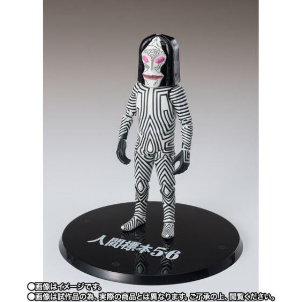 S.H.Figuarts SHF 代理版 S.H.F 超人力霸王 達達 <人間標本 5 & 6 Ver.>