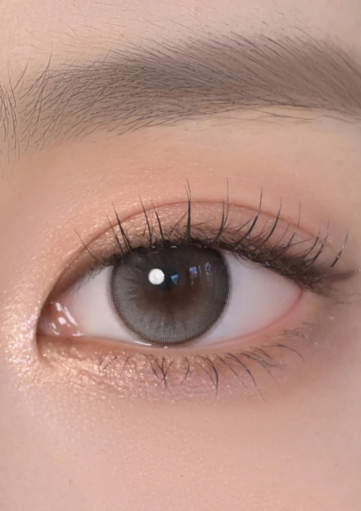 CHUU - Daisy Shower 1 day (Pure Gray)(10片)