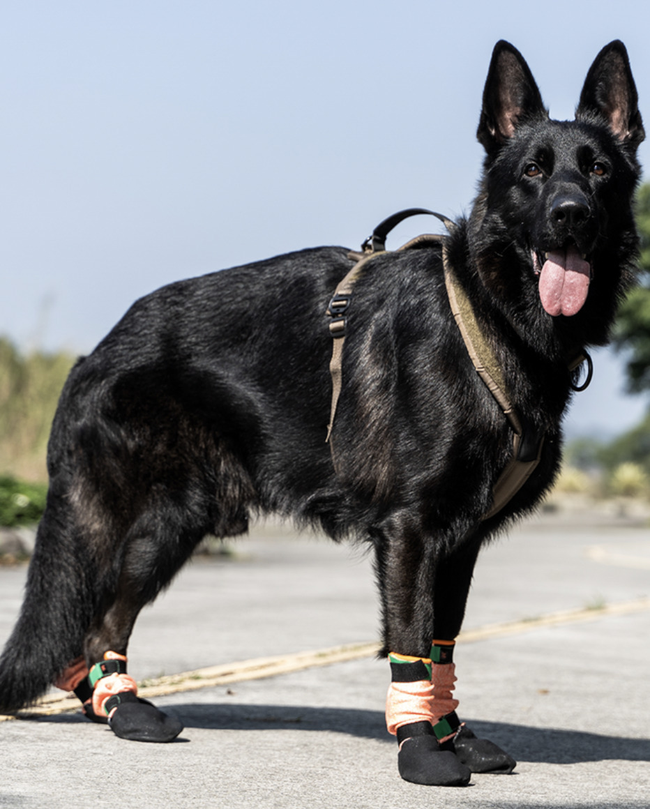 【Non-stop dogwear】PROTECTOR高筒機能戶外鞋