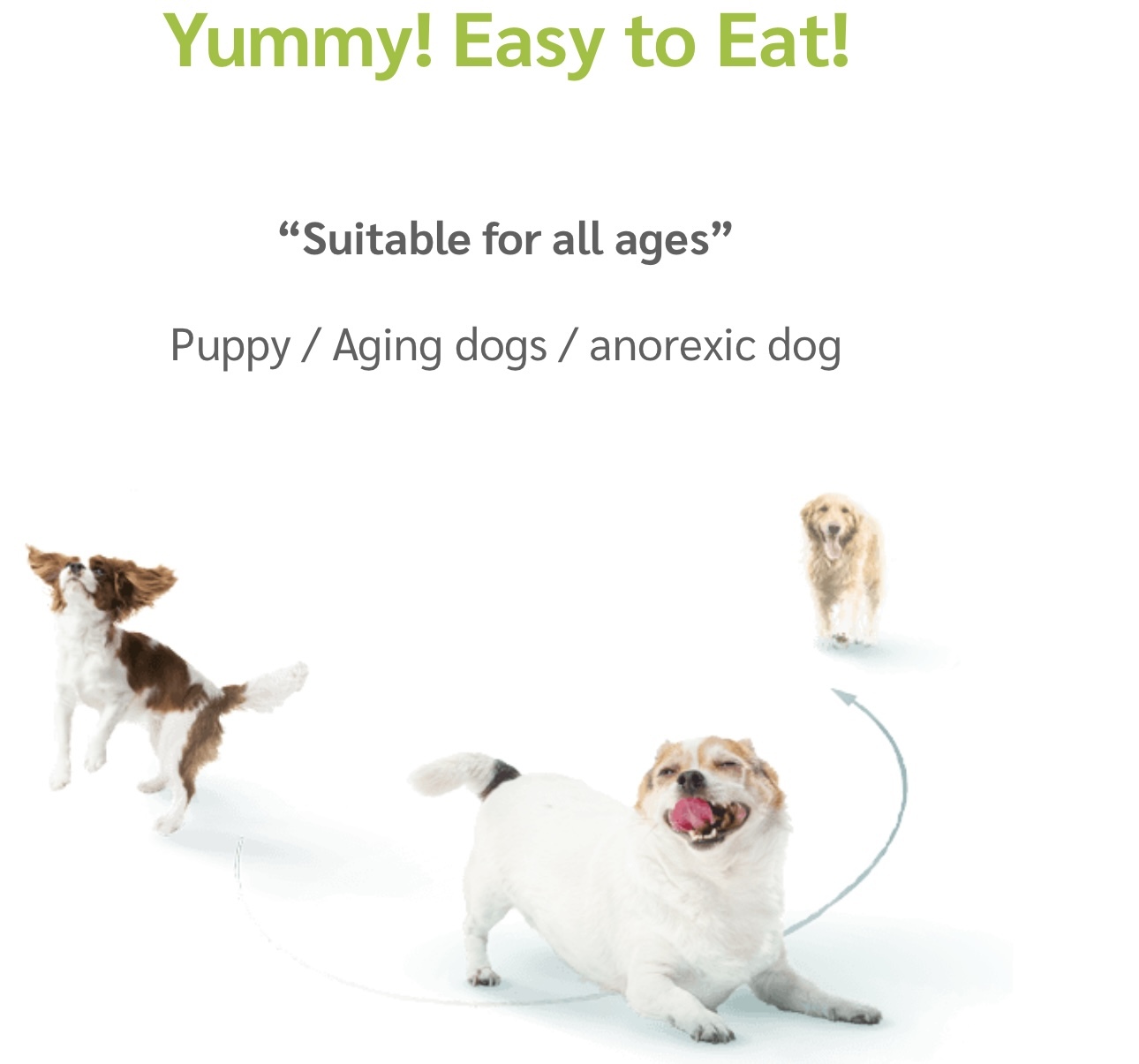 JERHIGH MEAT AS MEALS HOLISTIC MINI/INDOOR/SENSITIVE SKIN  DOG FOOD 500G