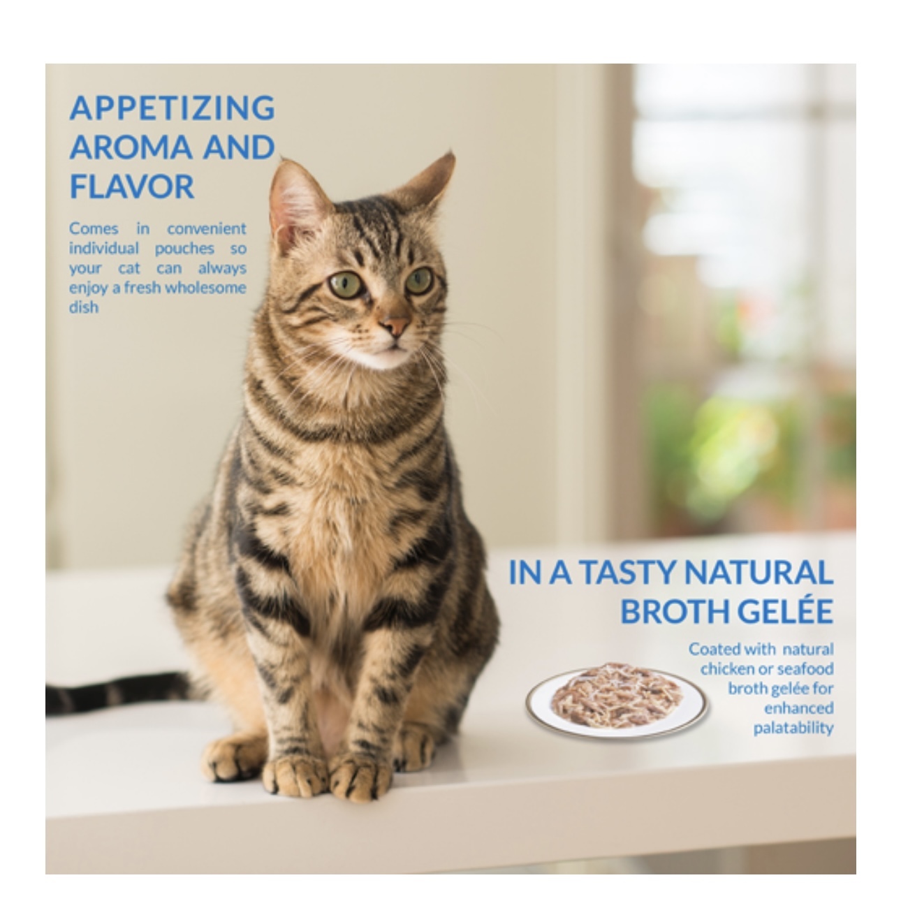 INABA TWIN PACKS GRAIN FREE CAT FOOD 40G*2packs