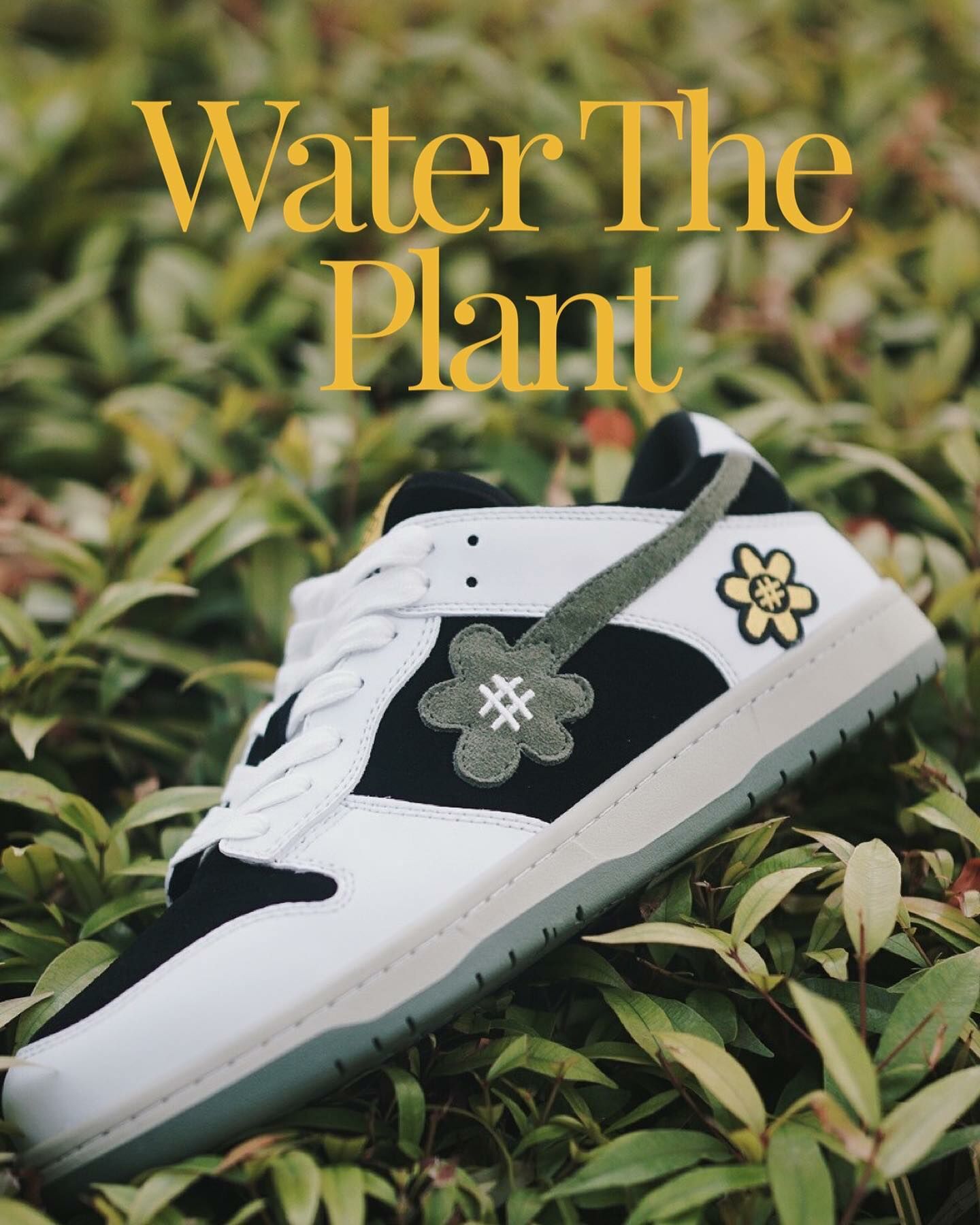 Water The Plant “White Truffle” Kicks WTP 橄欖綠 小花 WTPS112393040