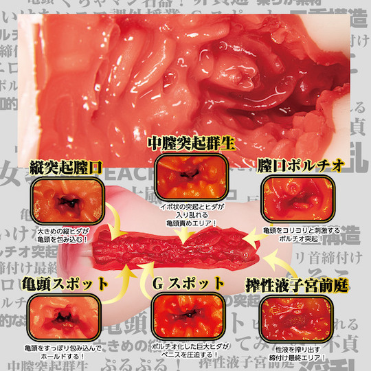 NPG,日本 NPG,NPG 自慰套,NPG 自慰器,女優名器,女優自慰套,女優飛機杯,真人倒模,女優倒模,自慰器,五十嵐夏