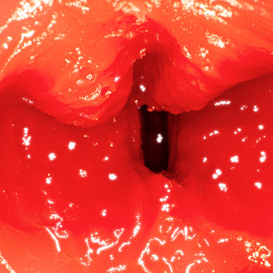 NPG,日本 NPG,NPG 自慰套,NPG 自慰器,女優名器,女優自慰套,女優飛機杯,真人倒模,女優倒模,自慰器,口交自慰套,口交自慰器,七澤米亞