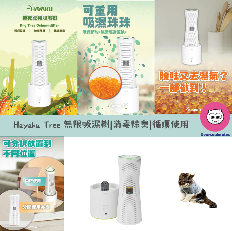 Hayaku Tree 無限吸濕樹|消毒除臭|循環使用 【10/19 截單，預計 :10月尾至11月中發貨】】
