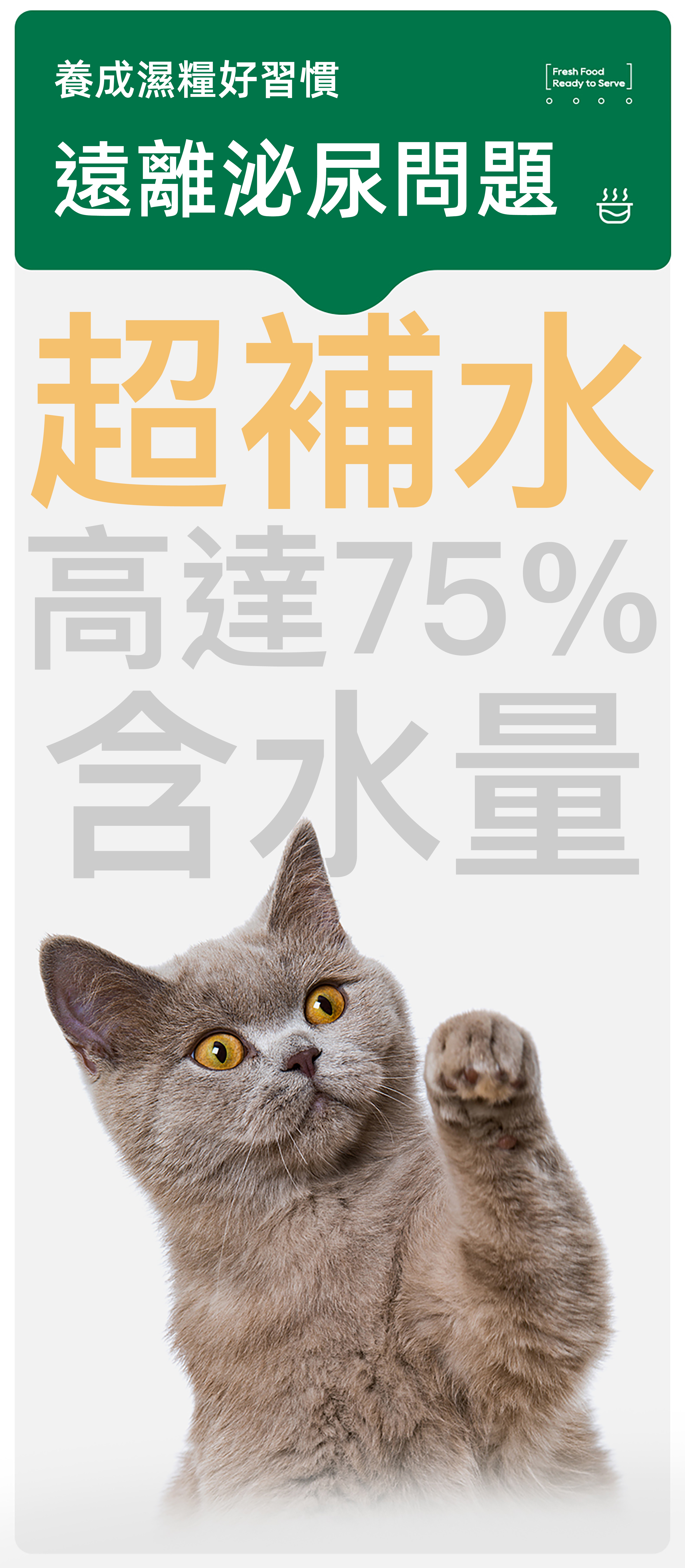 FOOD CHAIN 全營養貓⽤⽣⾻⾁主食醬包 80g l 貓星人基地