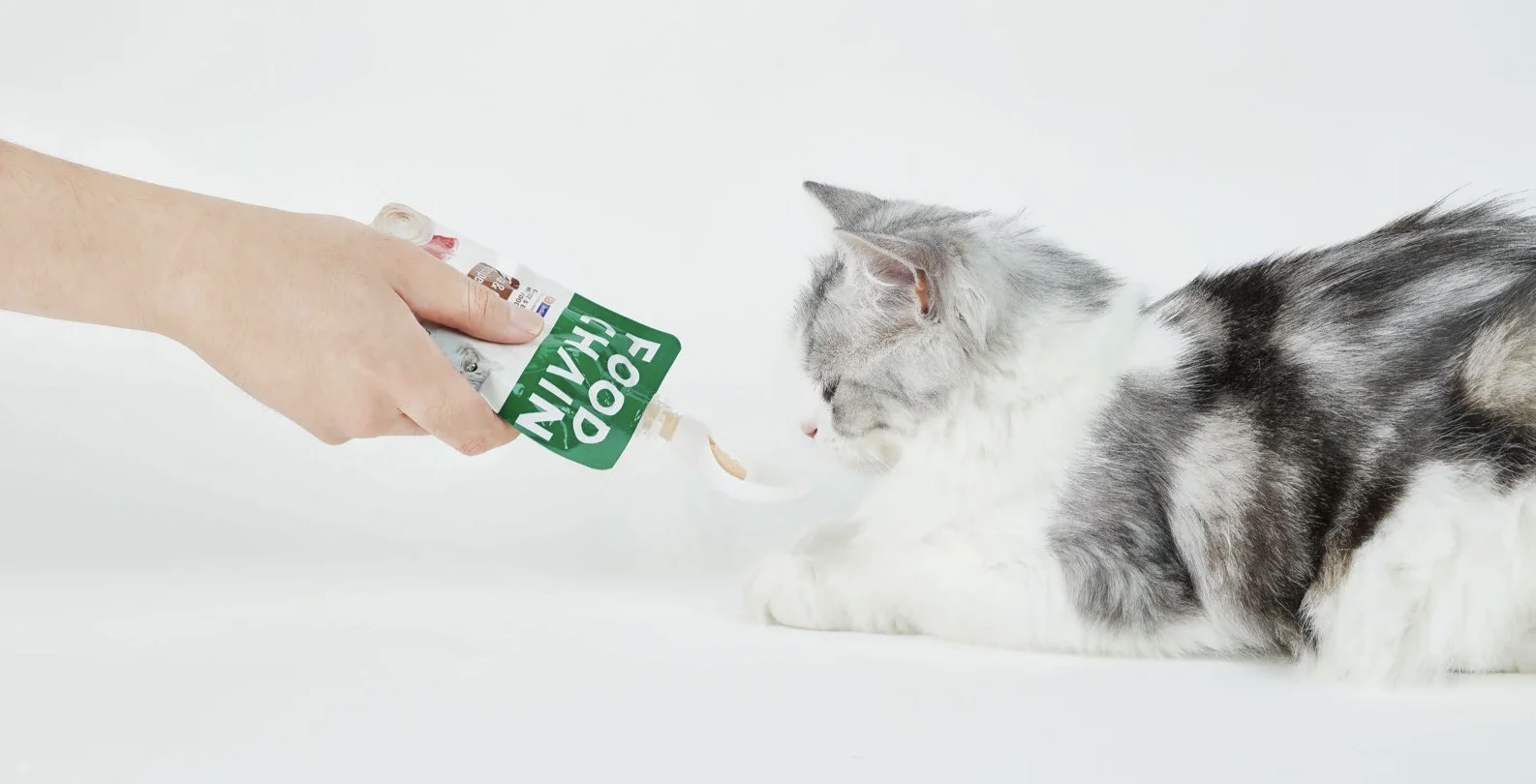 FOOD CHAIN 全營養貓⽤⽣⾻⾁主食醬包 80g l 貓星人基地