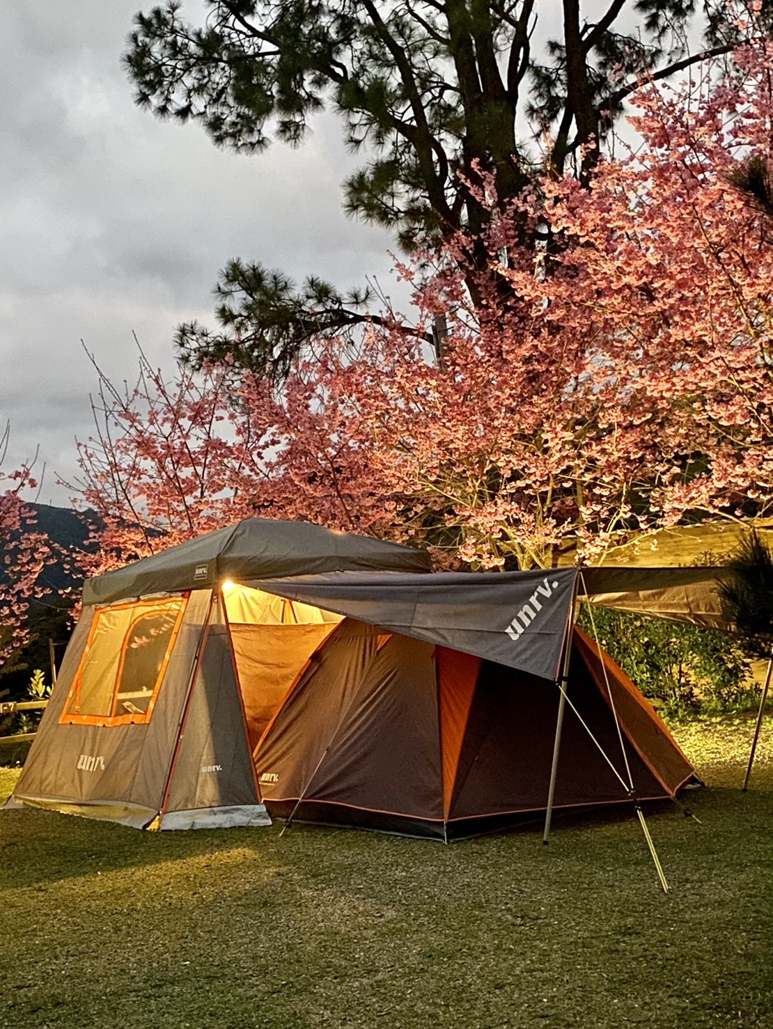 unrv.客廳 車泊 車露 露營