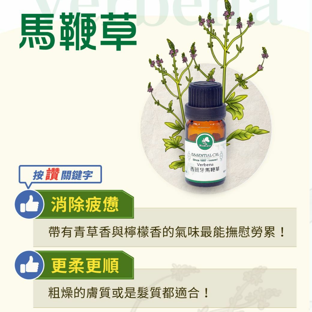 西班牙有機馬鞭草純精油