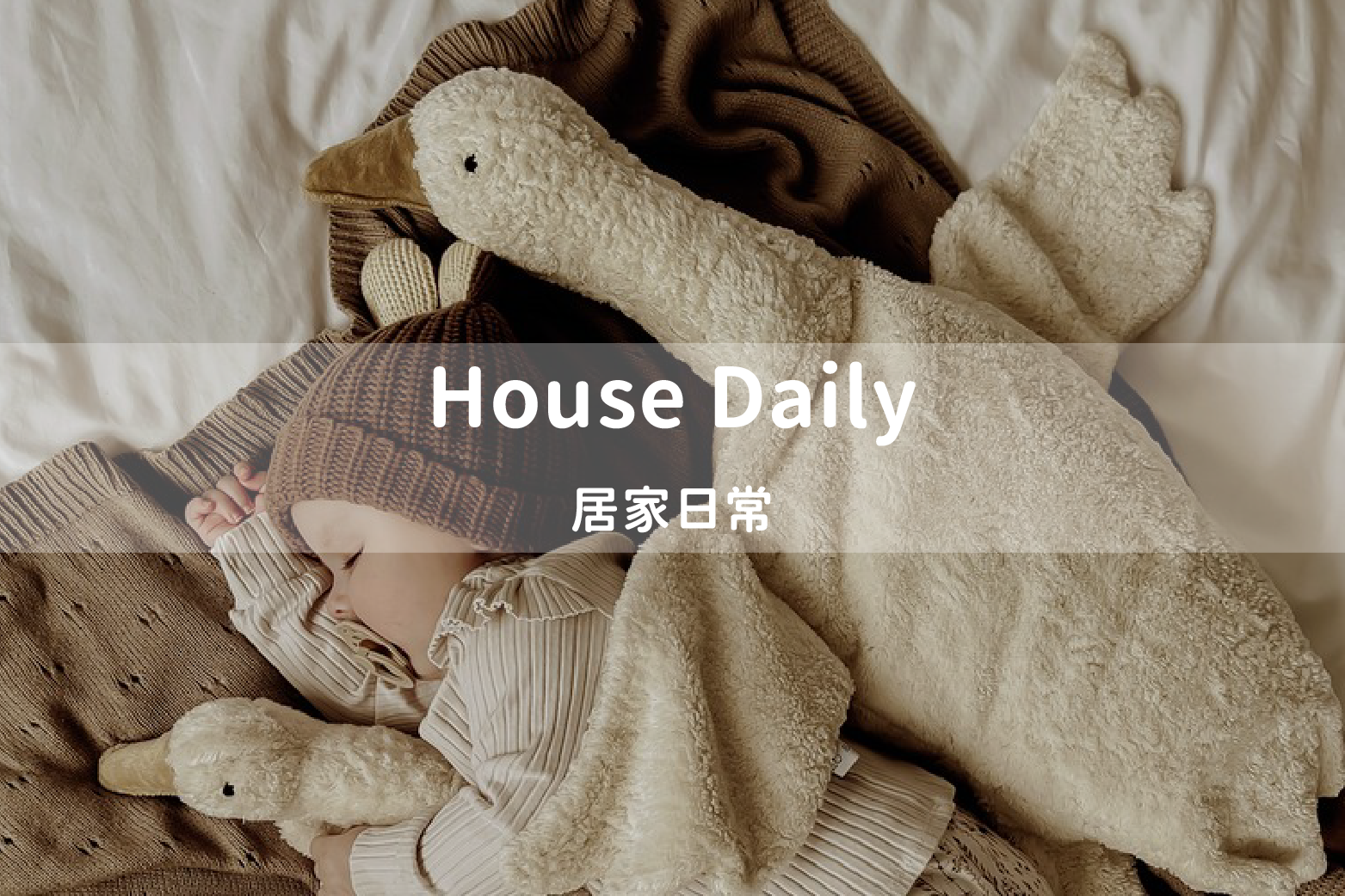 house daily