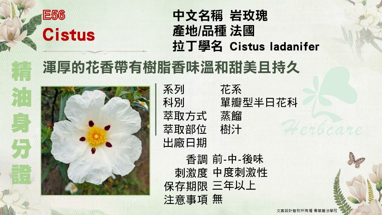 法國有機岩玫瑰純精油