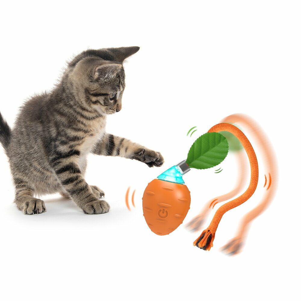 Bentopal 寵物智能電動發聲紅蘿蔔