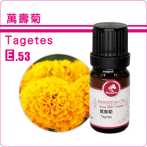 印度小農萬壽菊純精油