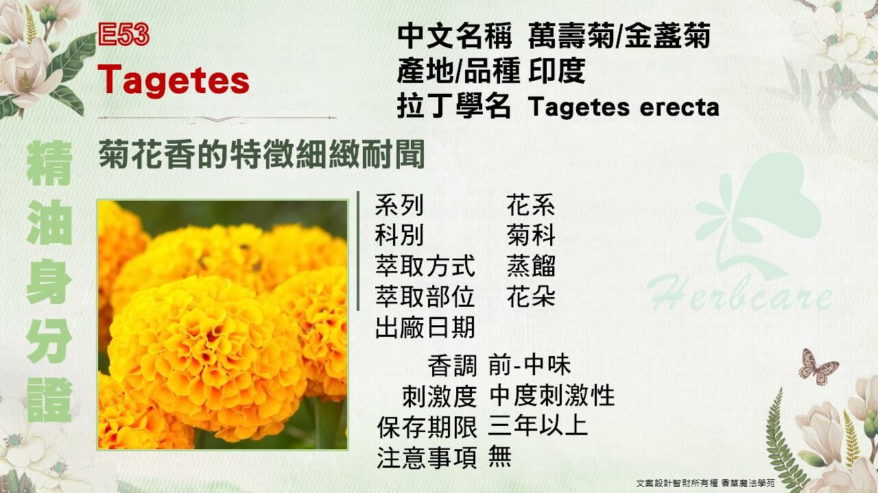 印度小農萬壽菊純精油