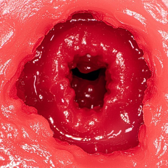 NPG,日本 NPG,NPG 自慰套,女優名器,女優自慰套,女優飛機杯,真人倒模,女優倒模,新熟女之星,JULIA