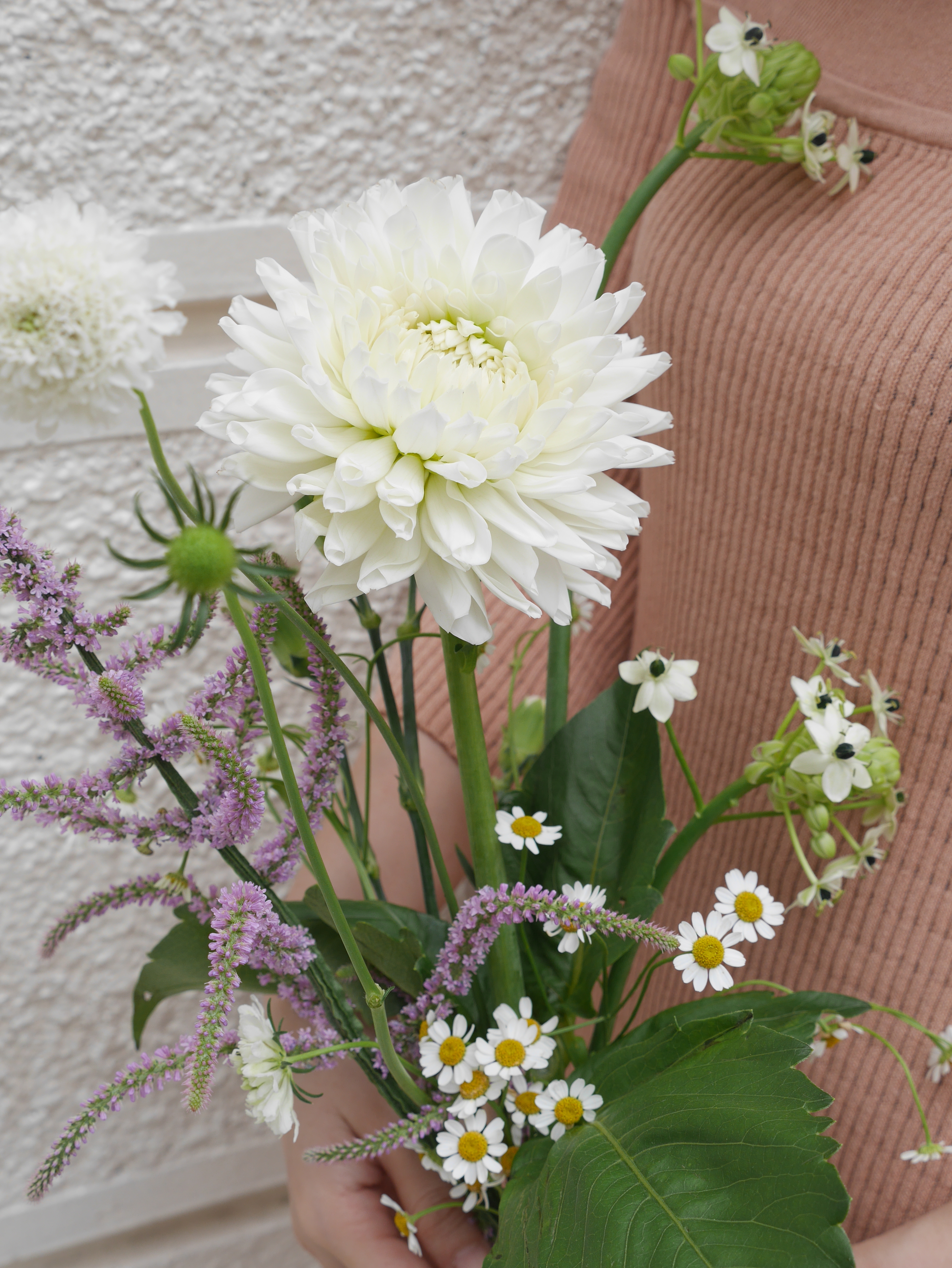 Weekly Flower
