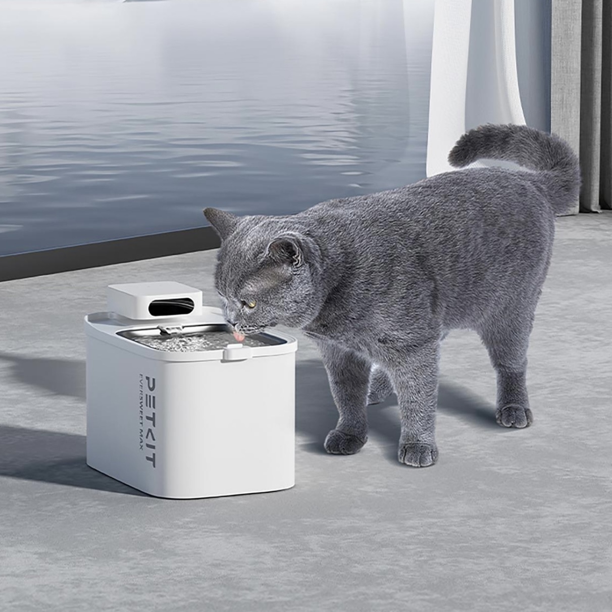 Eversweet Max 無線智能飲水機 (可藍芽連接手機APP)