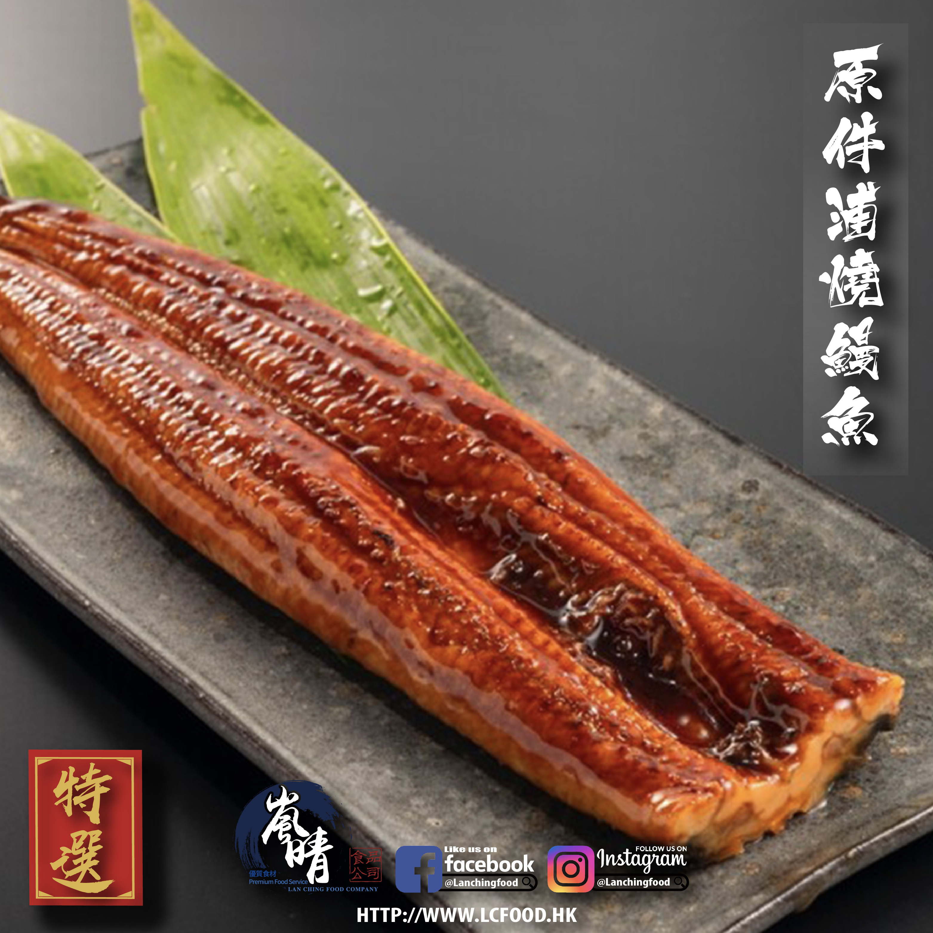 原件浦燒鰻魚(大) 約220g/條