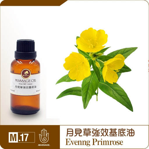 英國特級月見草強效基底油30ml
