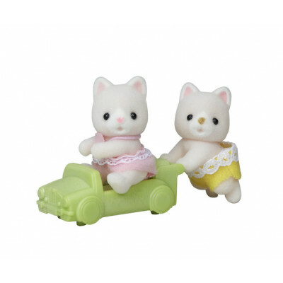 14207 絲綢貓孖生BB