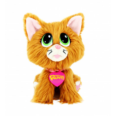 S19015 啡貓 (Tabby Cat)