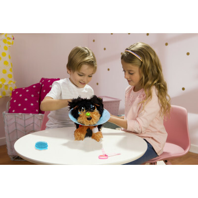 S19011 約瑟爹利 (Yorkie)