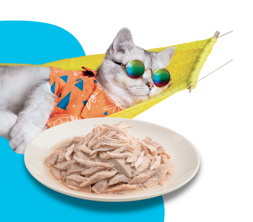 Moochie Meaty Tuna & Chicken Breast Recipe in Jelly Wet Cat Food (70gx12pcs)