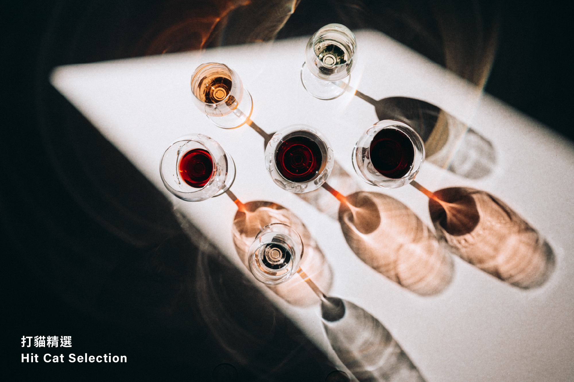 hit-cat-selection-about