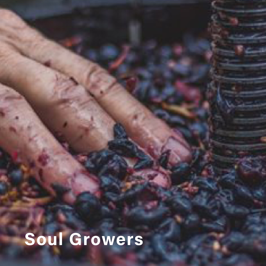 hit-cat-selection-soul-growers