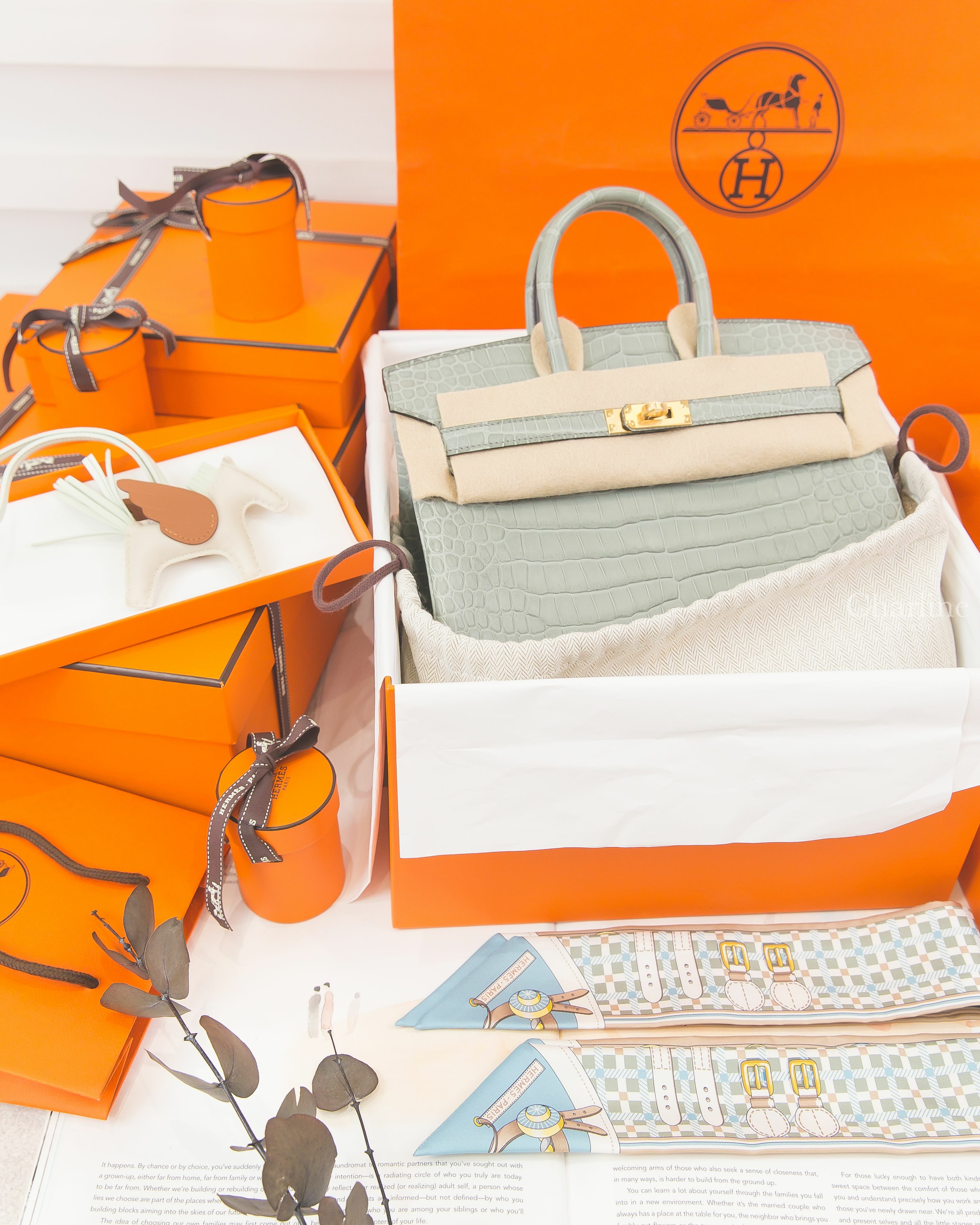 Hermès Les Voitures Nouvelles Twilly 杏仁綠/冰川藍/米色,Rodeo PM Pegase 奶昔白/氣泡綠/焦糖色,Birkin 25cm OV 水晶灰霧面倒V鱷魚金釦-Charline Boutique 精品代購