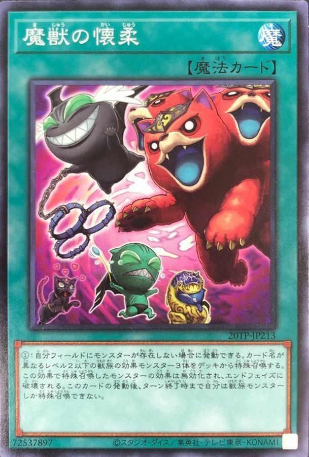 20TP-JP213 魔獣の懐柔
