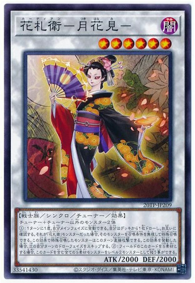 20TP-JP209 花札衛-月花見-