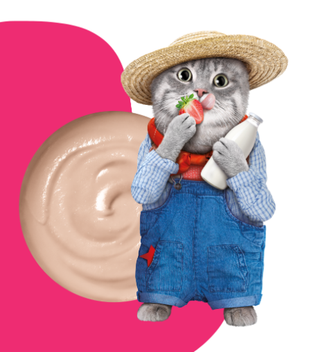 Moochie 吞拿魚+羊奶+草莓醬 (15gx5條裝)