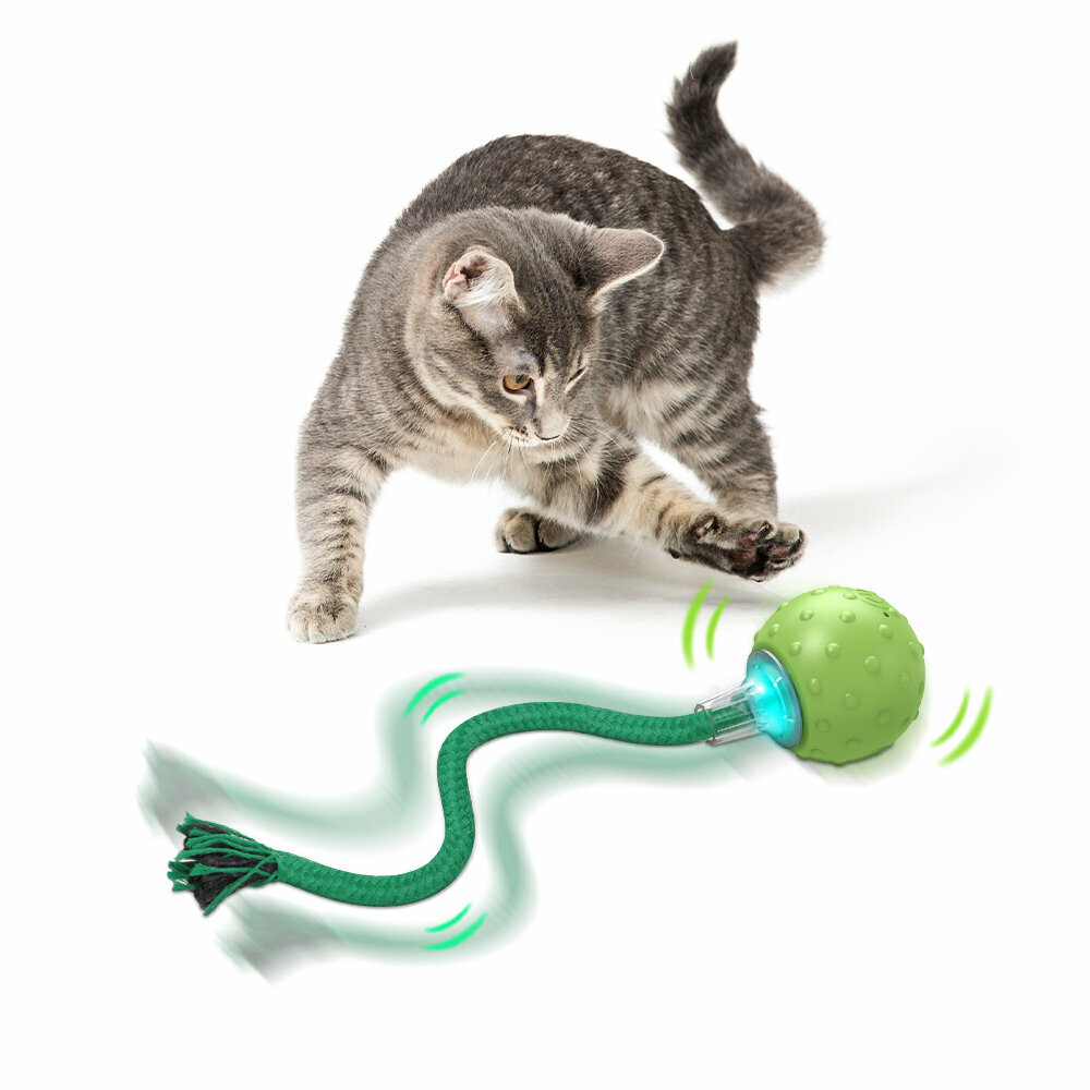 【限定7折】Bentopal 寵物智能發聲電動球