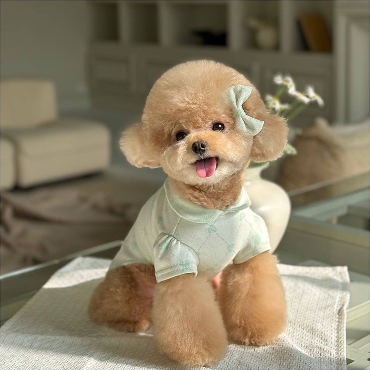 OPAAAP 愛心菱形格高爾夫球衫