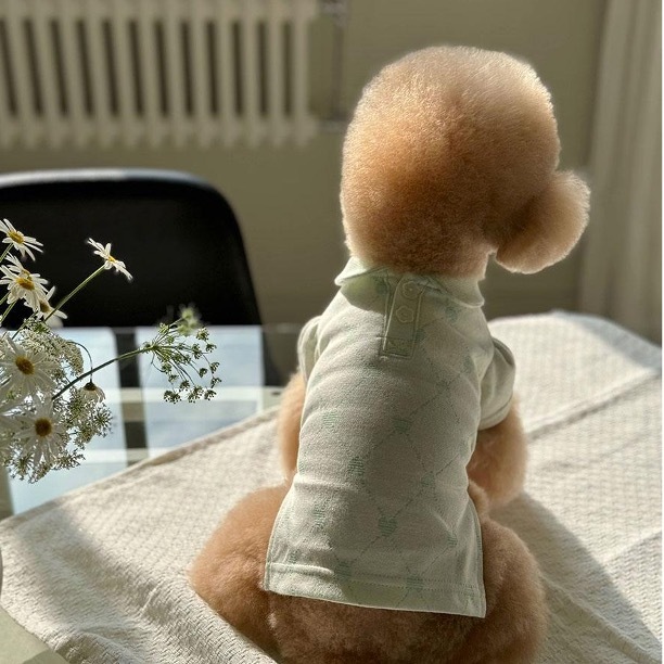 OPAAAP 愛心菱形格高爾夫球衫