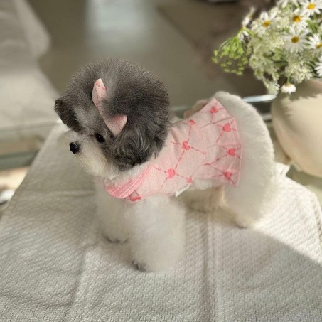 OPAAAP 愛心菱形格紋高爾夫球洋裝