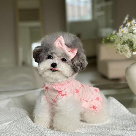 OPAAAP 愛心菱形格紋高爾夫球洋裝