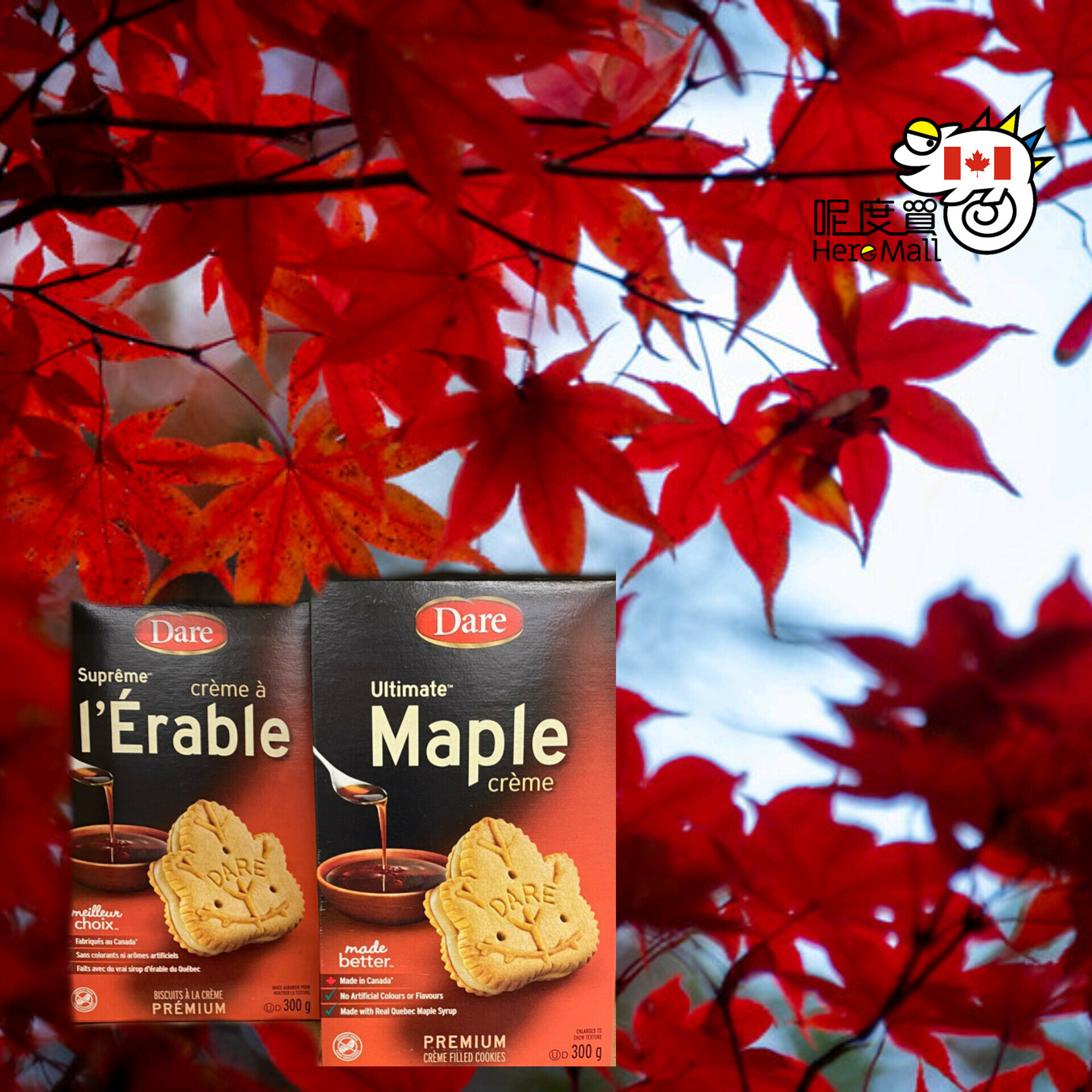 [加拿大直送] Dare 楓糖漿奶油夾心曲奇 300g (逢星期日截單,7至10個工作天送貨)