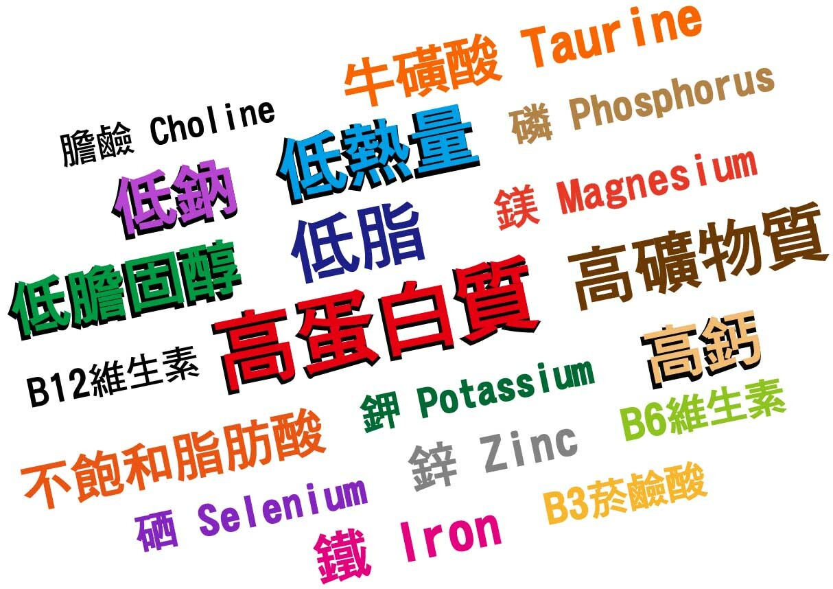 火雞超級營養成分_文字雲_趕食髦火雞