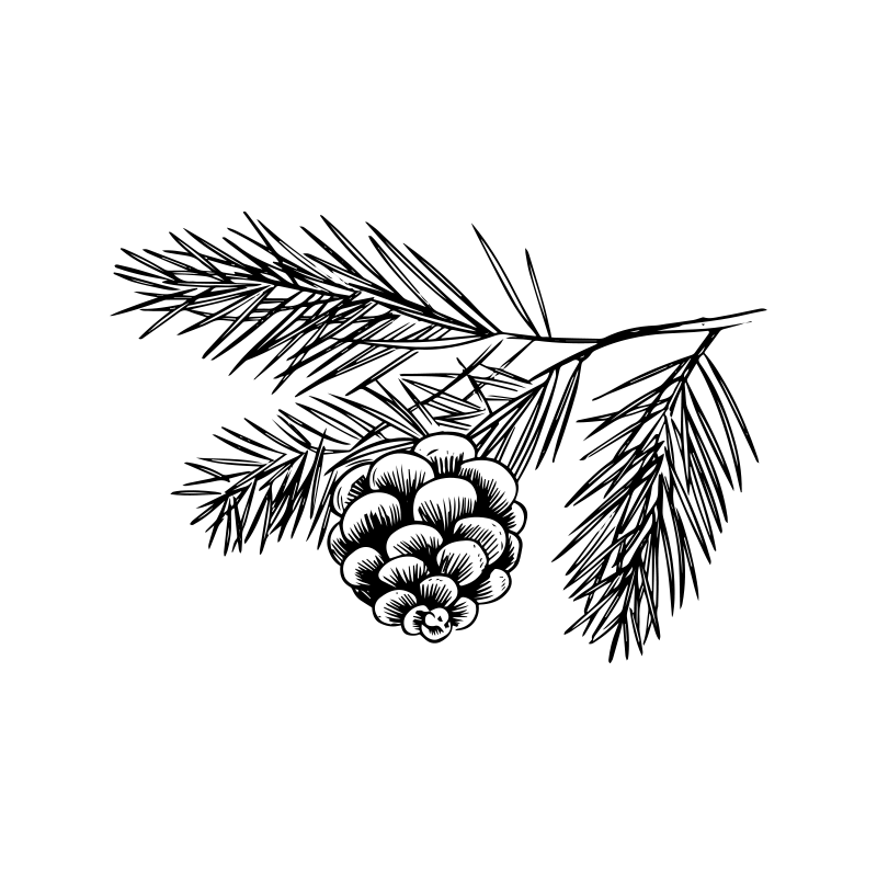 單方精油｜加拿大鐵杉 10ml