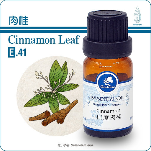 印度小農特級肉桂葉純精油10ml